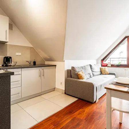 Easy Brzozowa Centrum By Rentilopl Zakopane