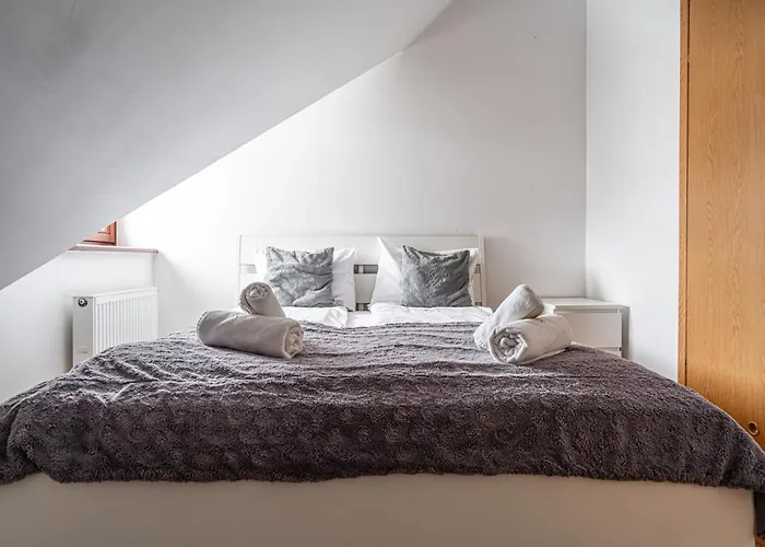 Easy Brzozowa Centrum By Rentilopl Zakopane